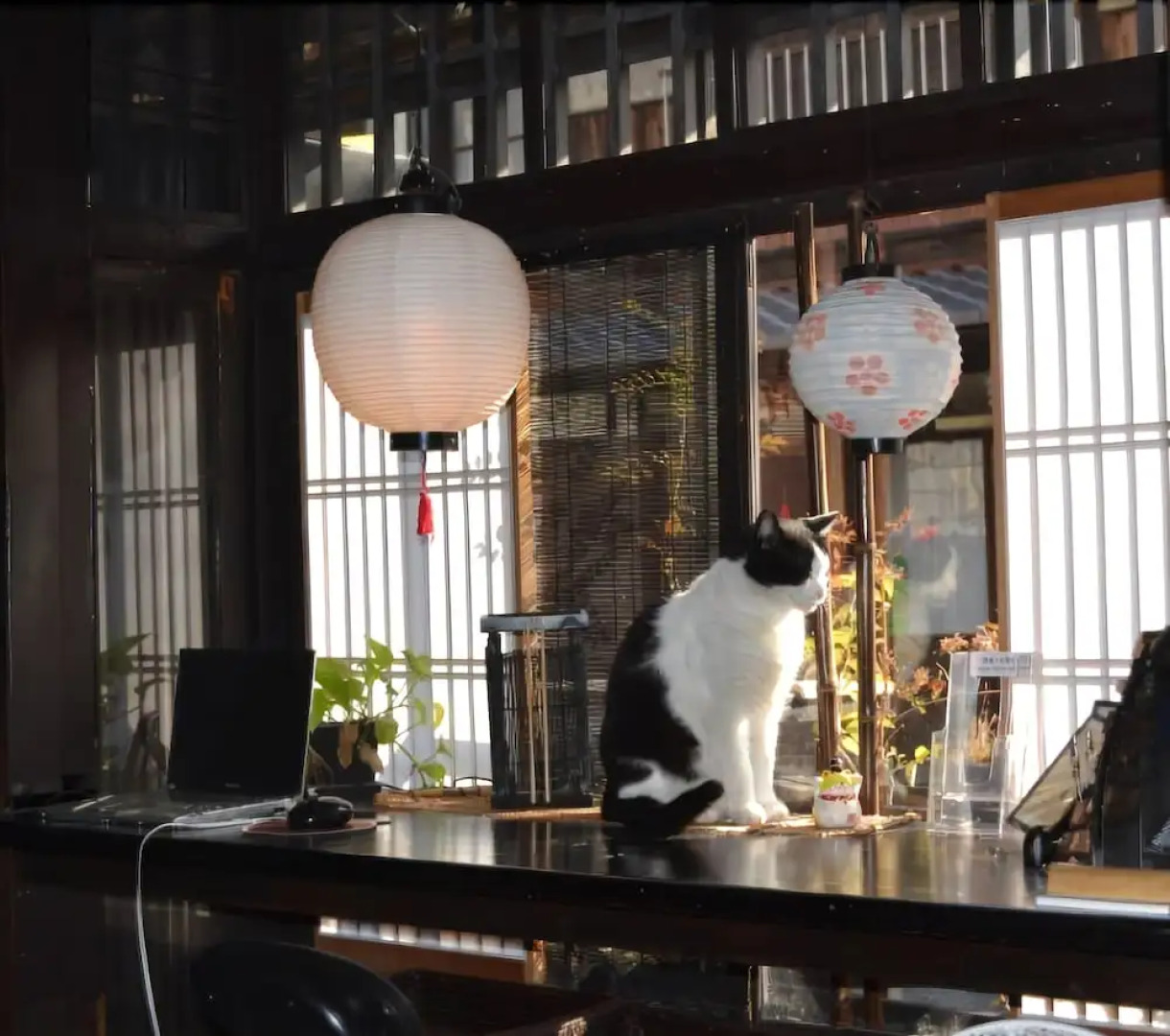 Kyoto Gion KIRAKU-INN - Hostel