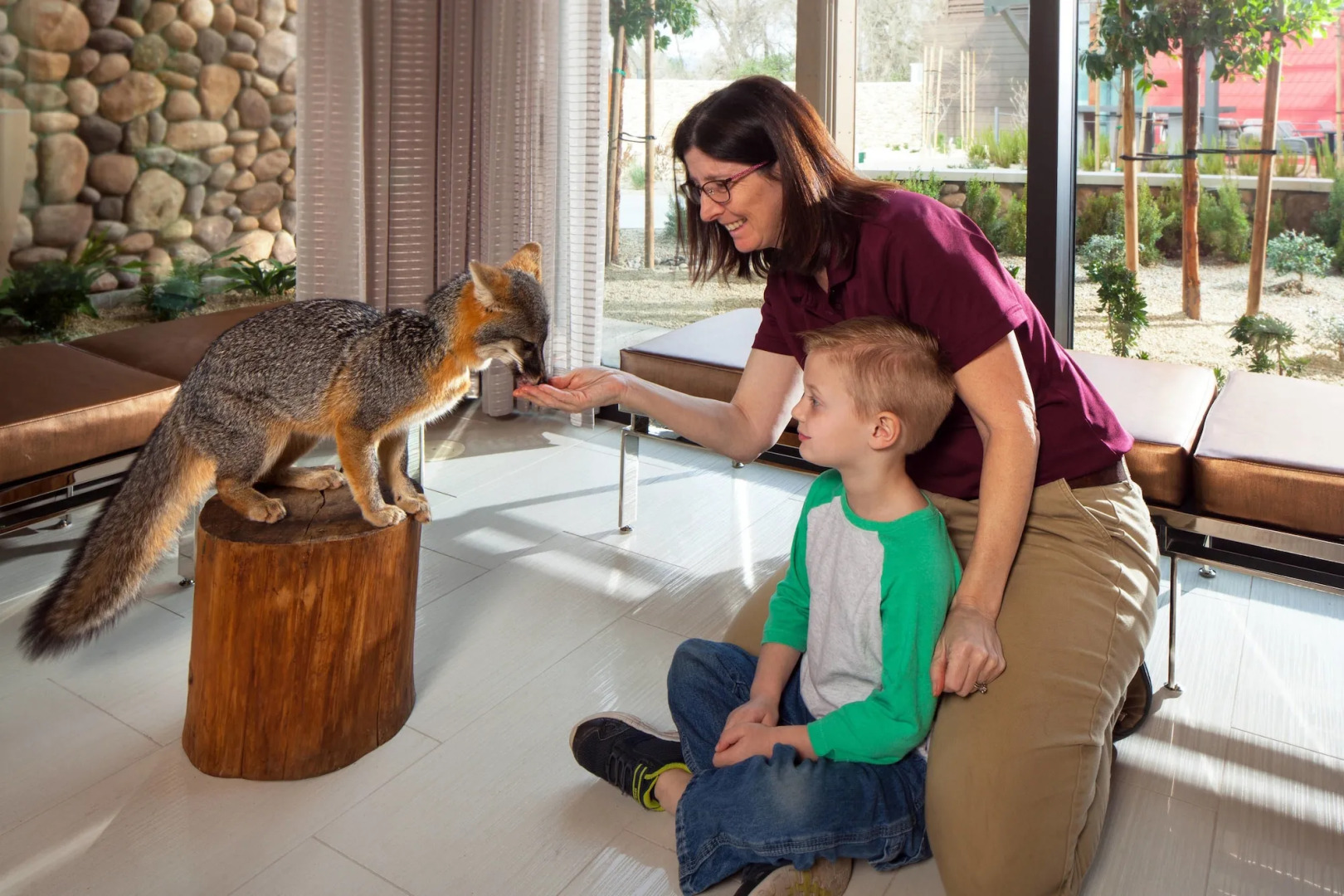 Sheraton Redding Hotel at the Sundial Bridge
