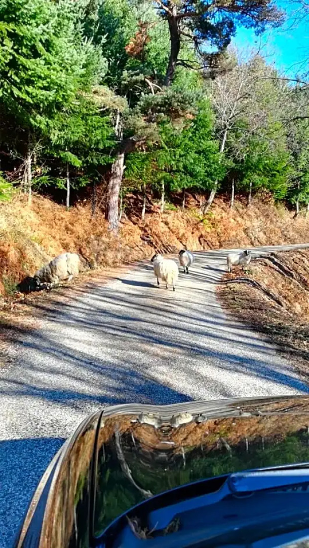 Les Granges de La Coste