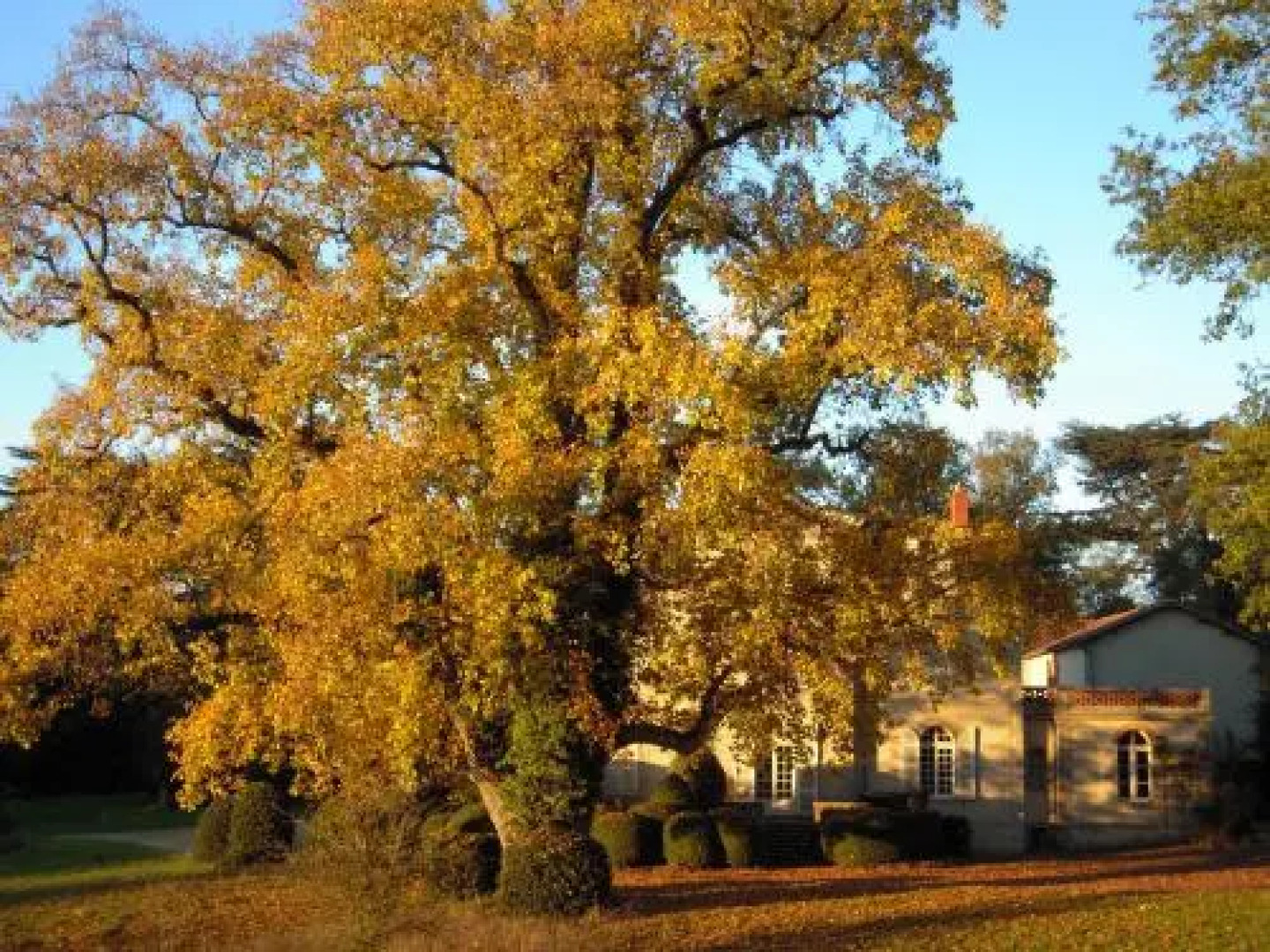 Proche Puy du Fou - Roches Blanches