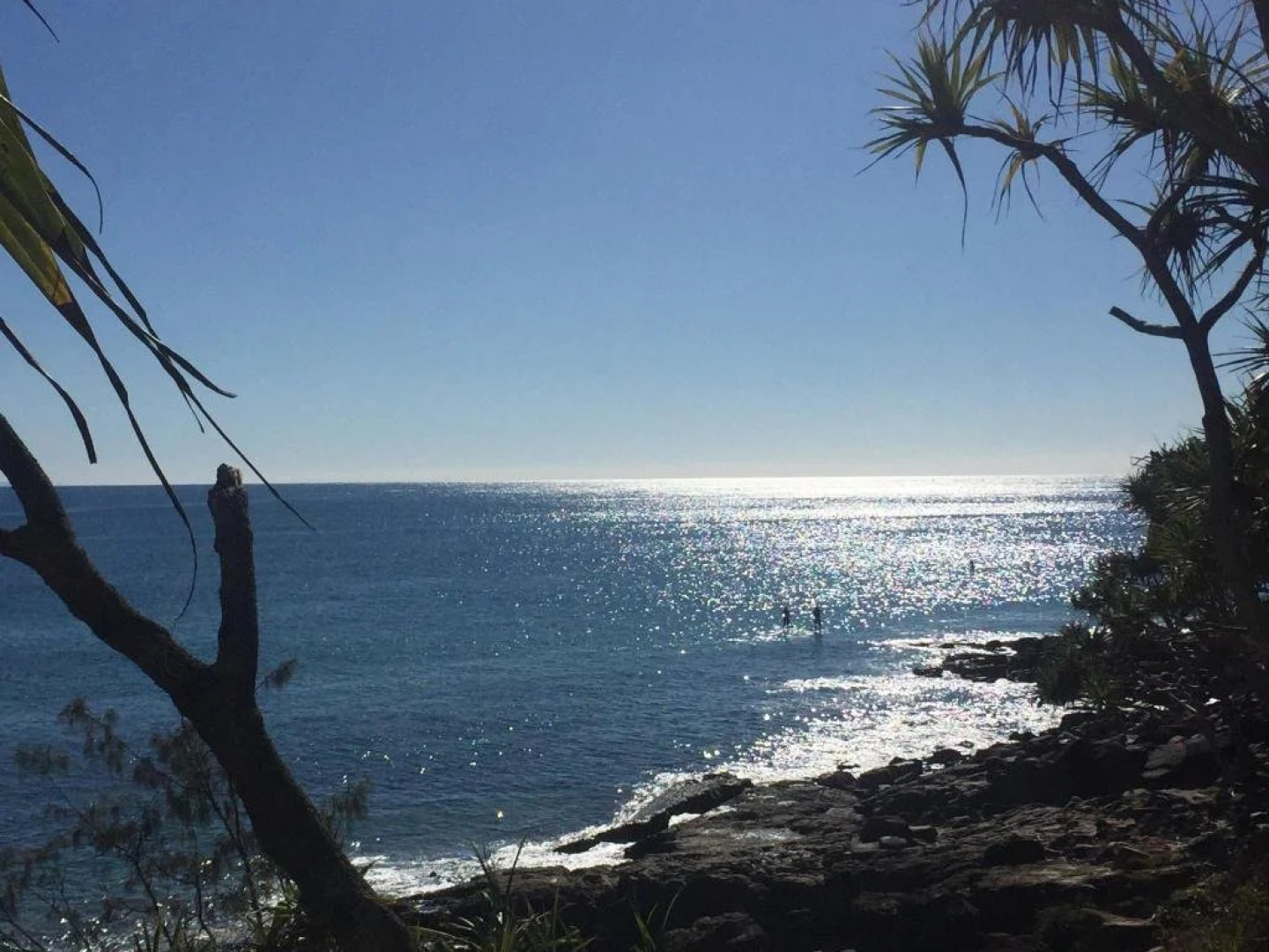 Noosa Habitat Resort B&B