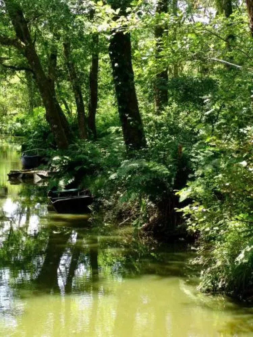 Villa de lEtang Blanc