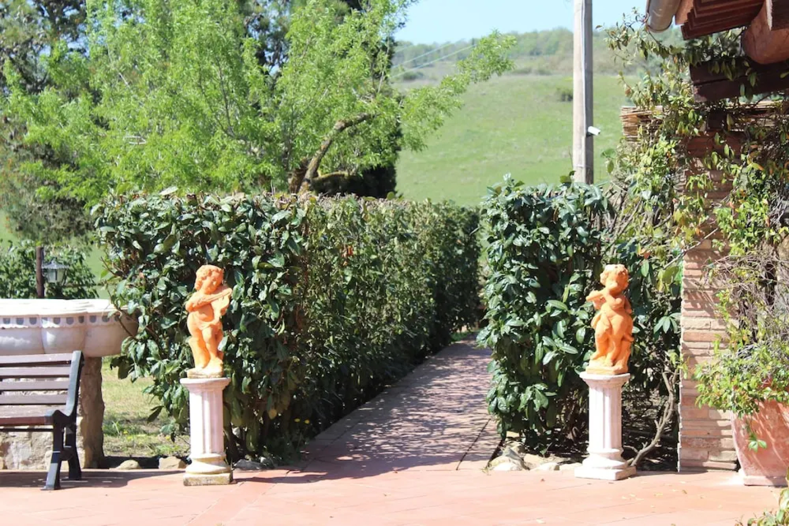 Girasoli di Bargiano