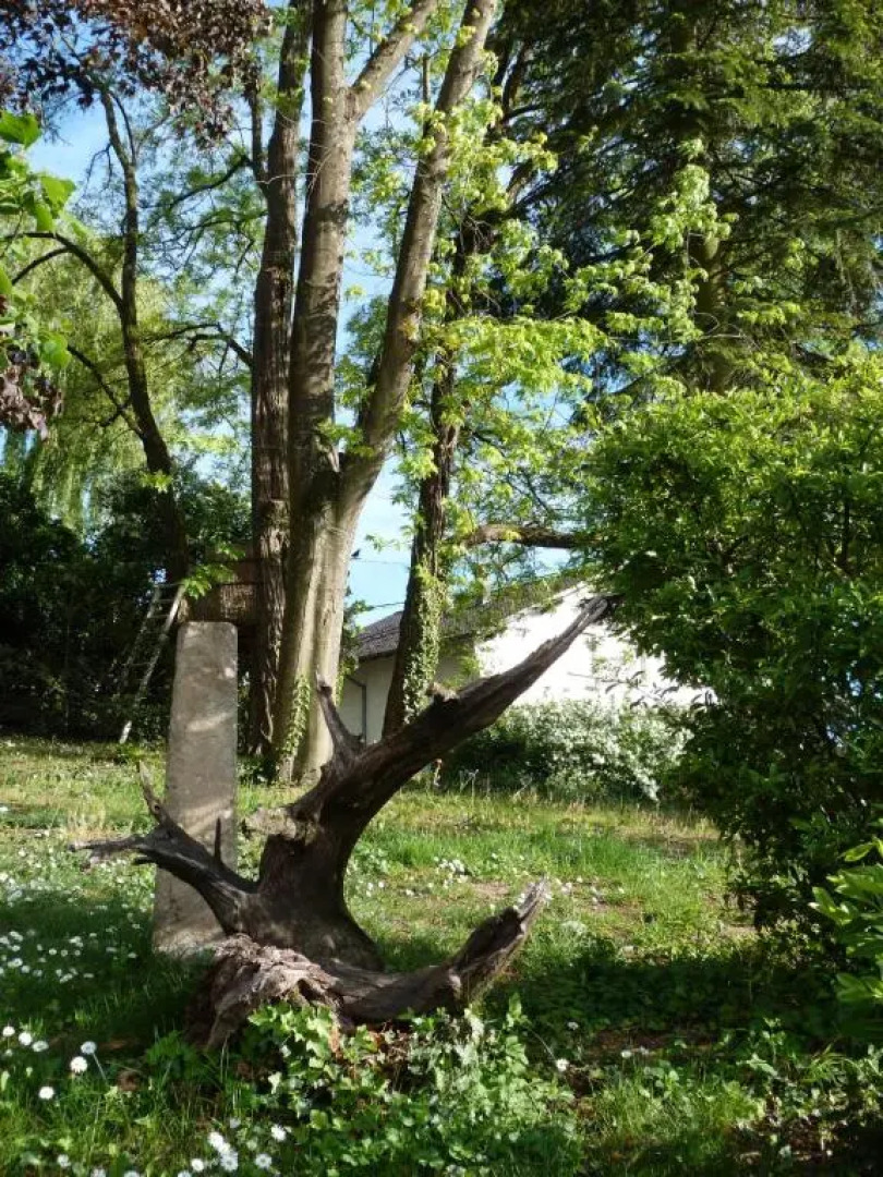 Gîte d'Maïsala Les Mésanges