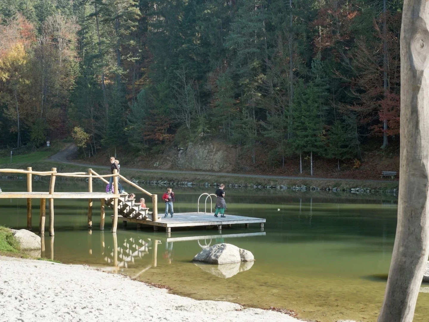 Cozy Holiday Home in Saldenburg near Forest