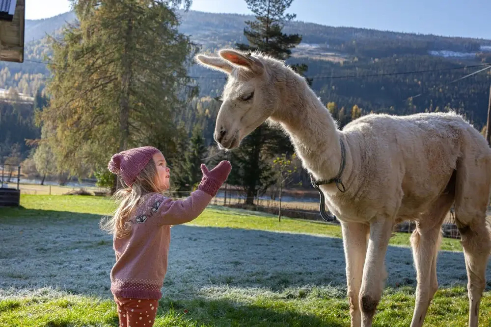 Piltingsrud gardshotel
