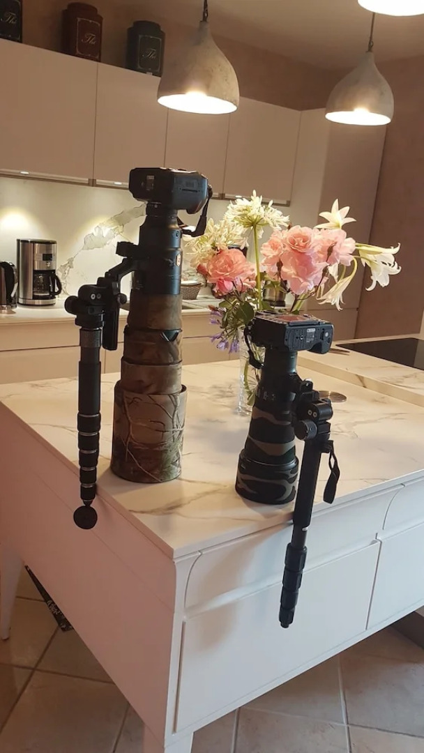 Chambres d'hôtes et Gites de Lanevry