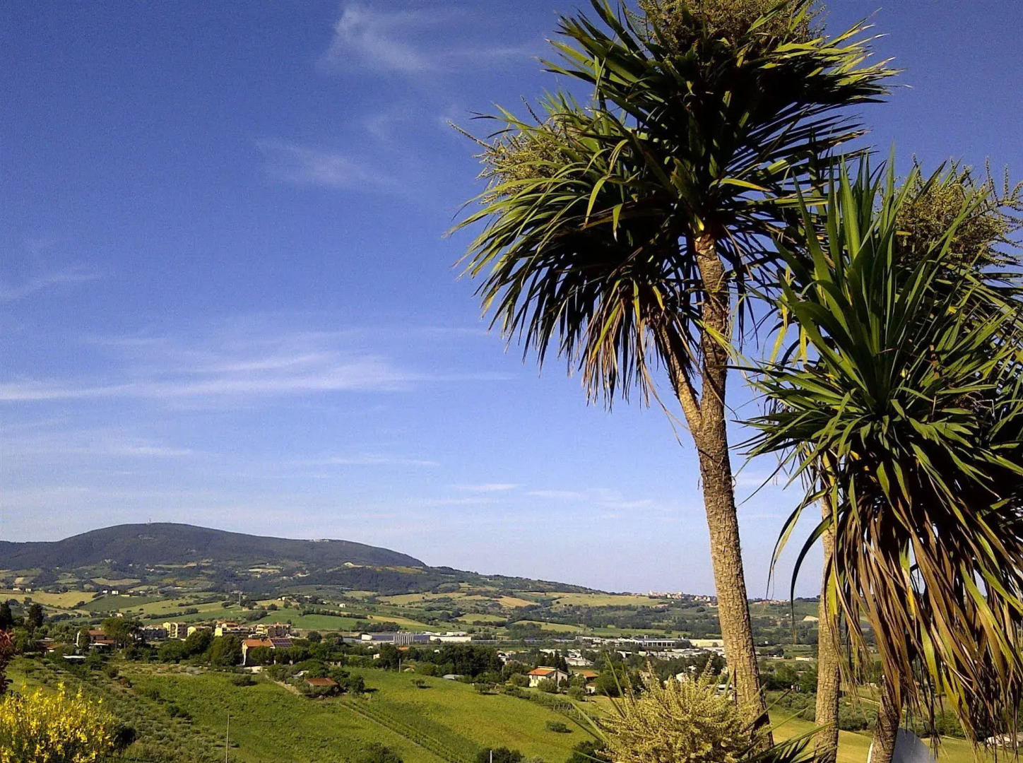 Villa Belvedere degli Ulivi