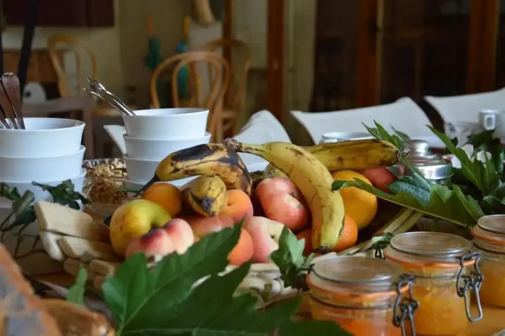 Gite Le Vieux Platane