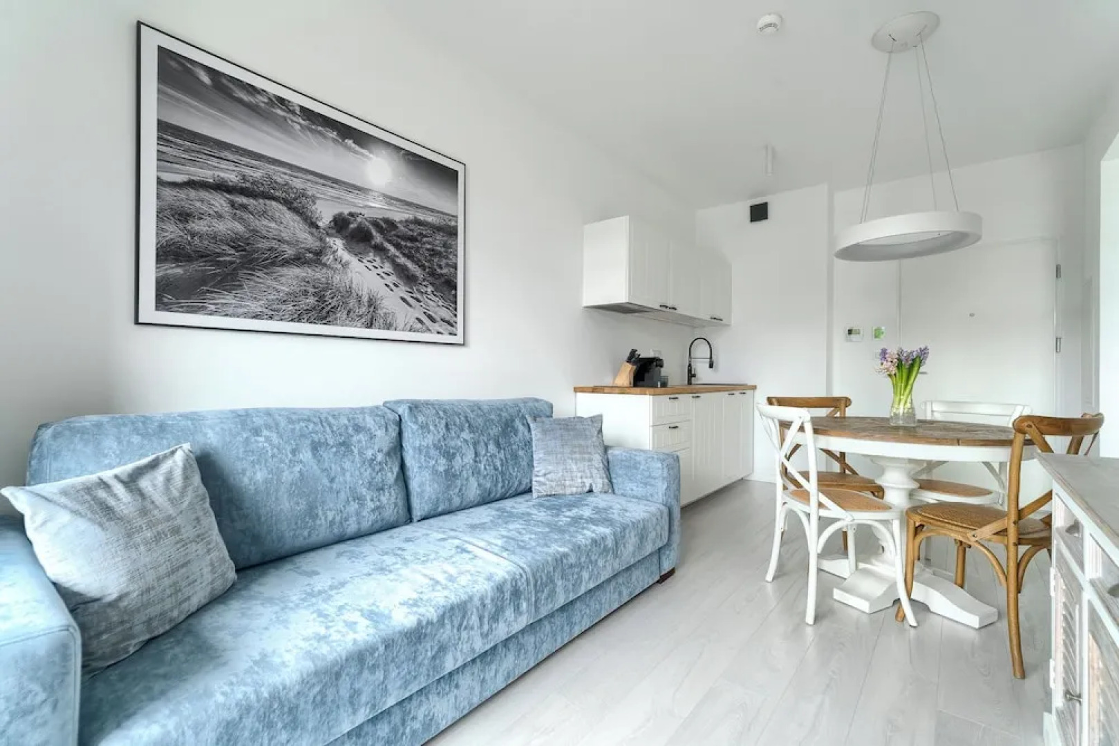 Shellter City Apartments