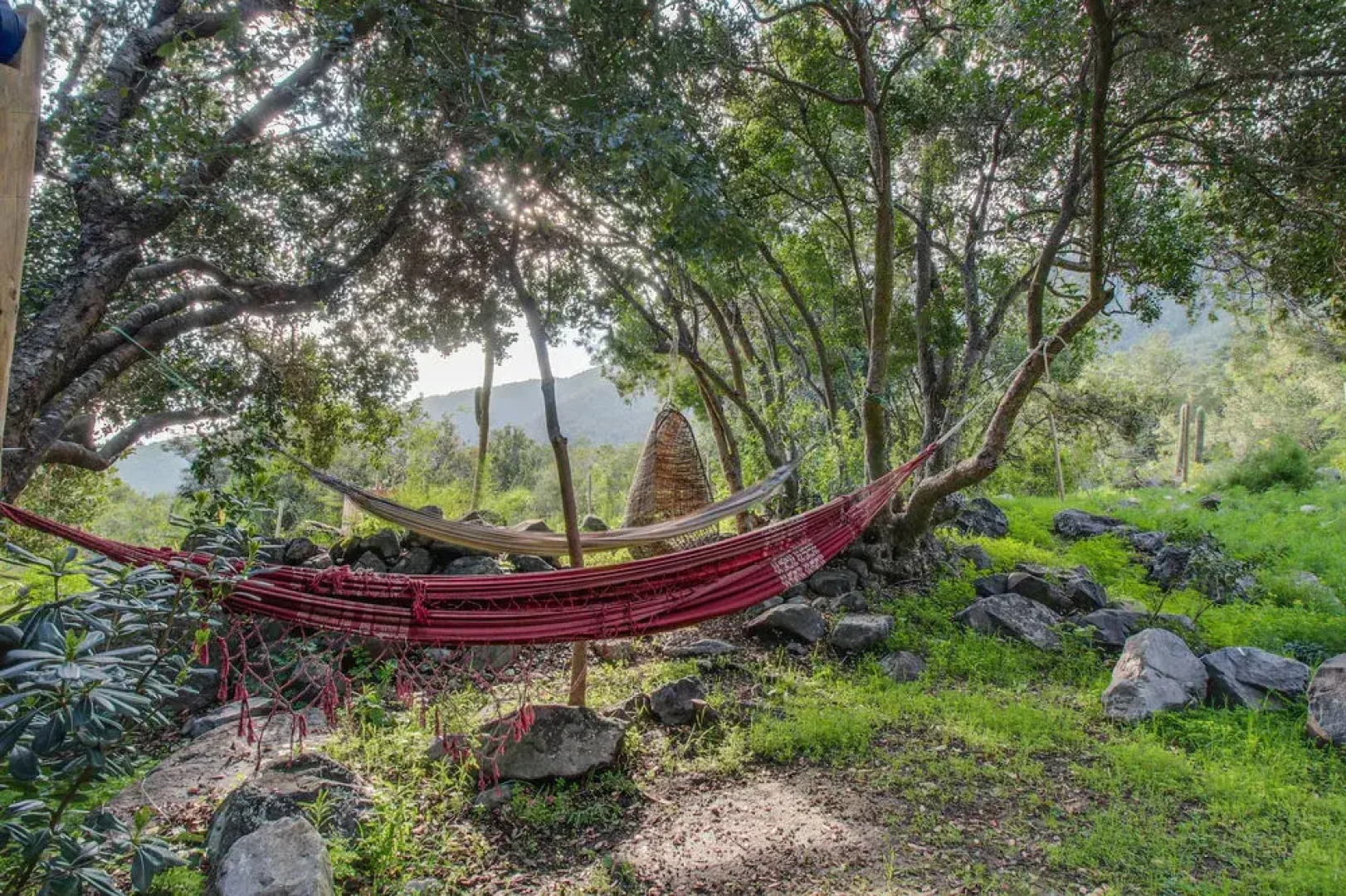 Getaway Among The Trees