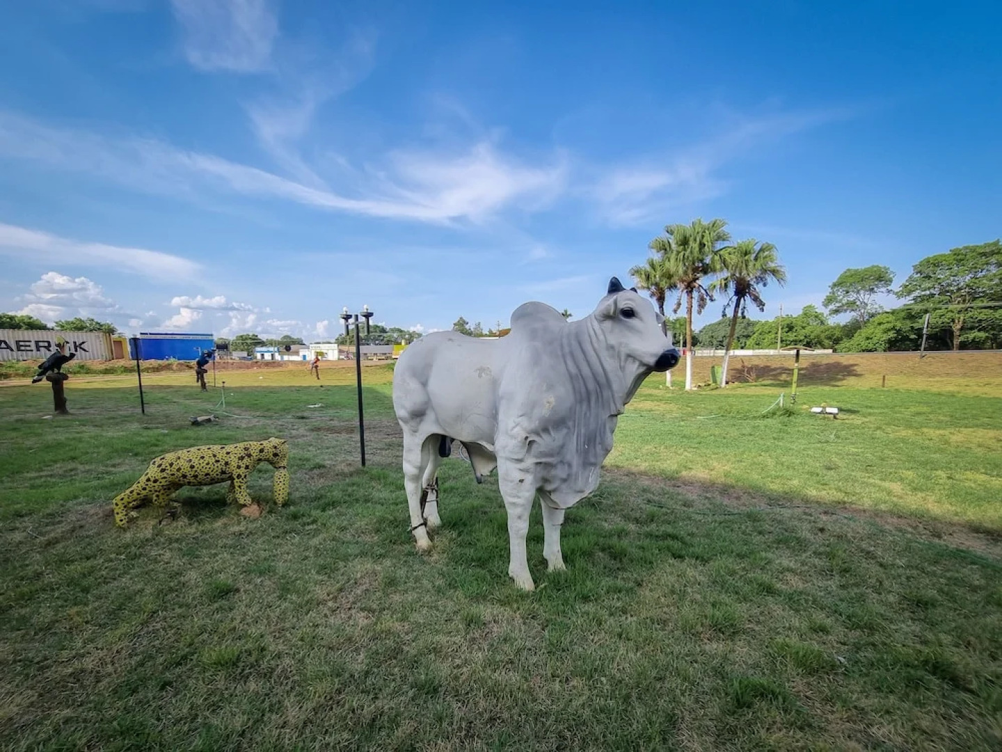 Hotel Marion Pantanal
