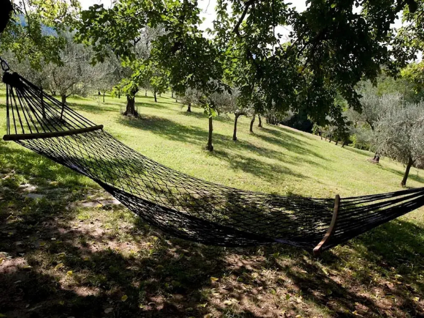 Spacious Home With Pool