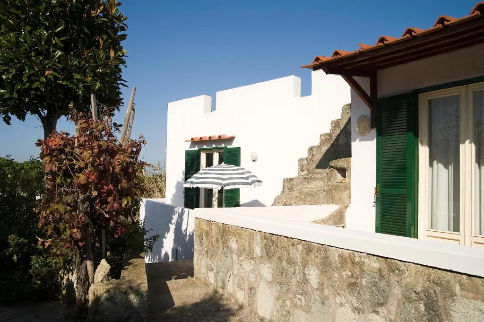 Park Hotel Terme Mediterraneo