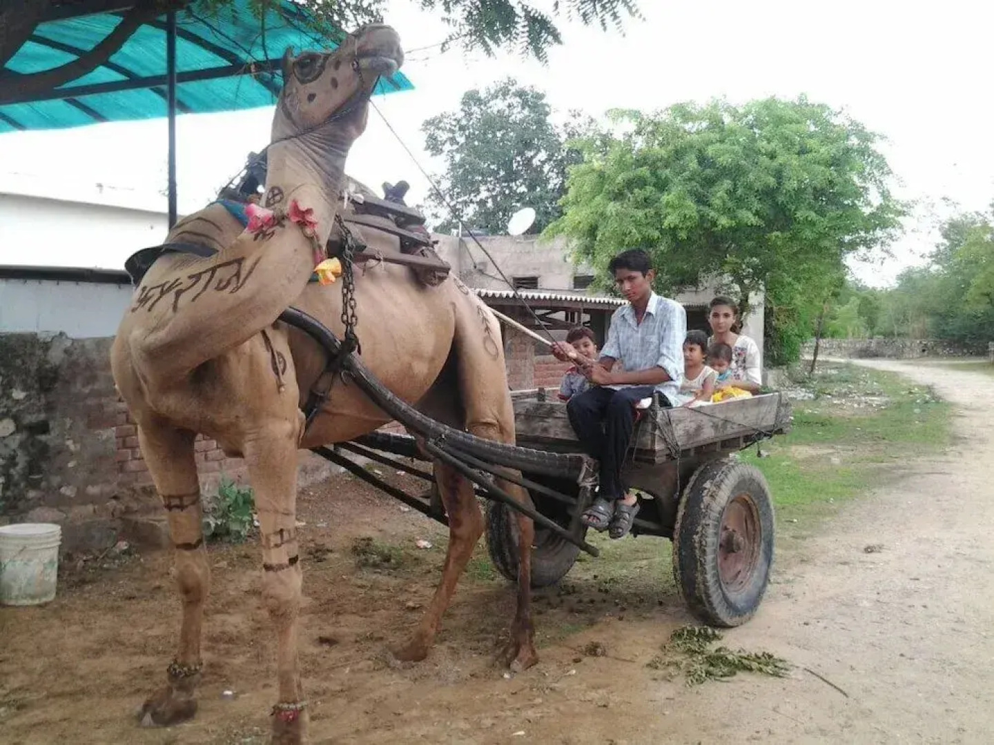 Swapanlok Farms And Resorts