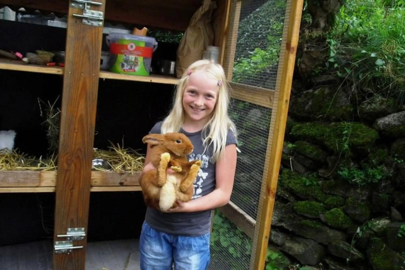 Serene Apartment in Hofstetten with garden amidst luxury of nature