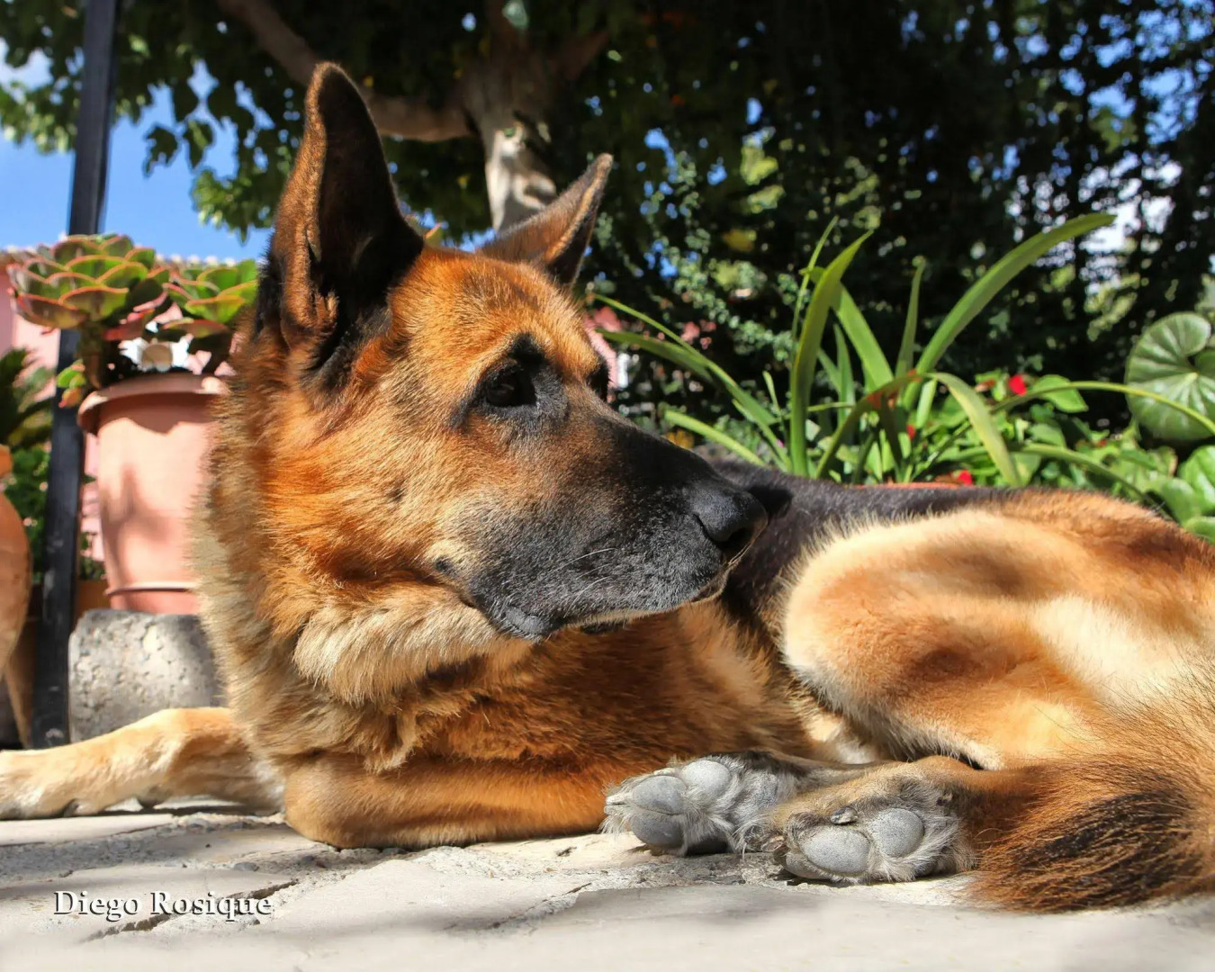 Hotel Rural el Molino de Felipe