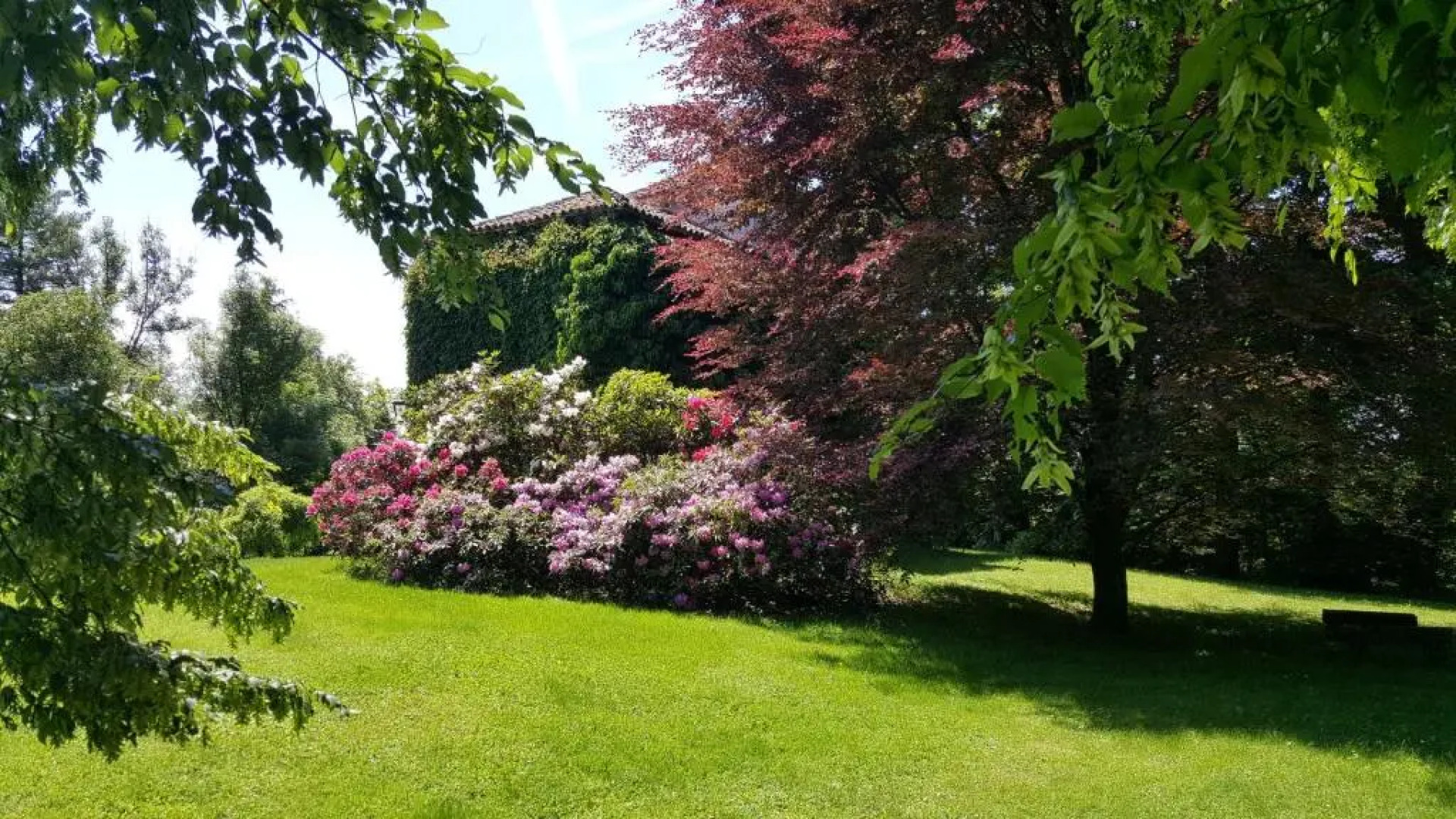 Colvago Il Piol - Ancient Venetian Villa