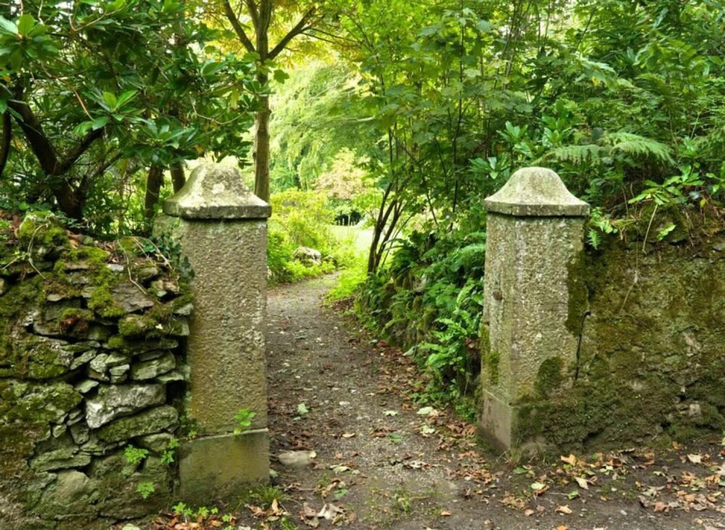 11 'bellatrix' Bell Tent Glamping Anglesey