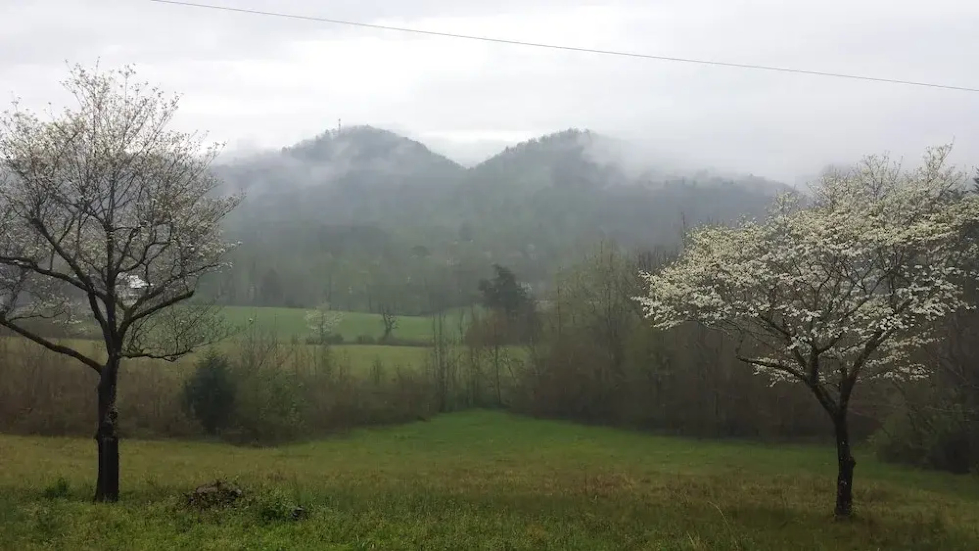 Peace Of Paradise 2 Bedroom Home by RedAwning