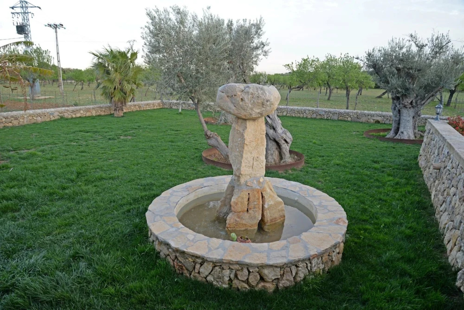 SA Parellada - Premium