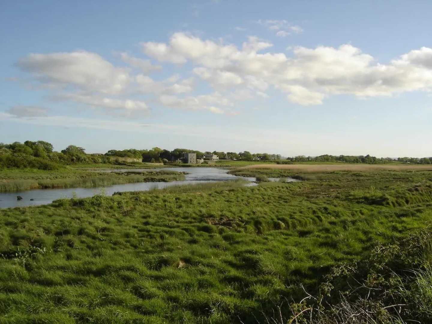 Springlawn Bed and Breakfast