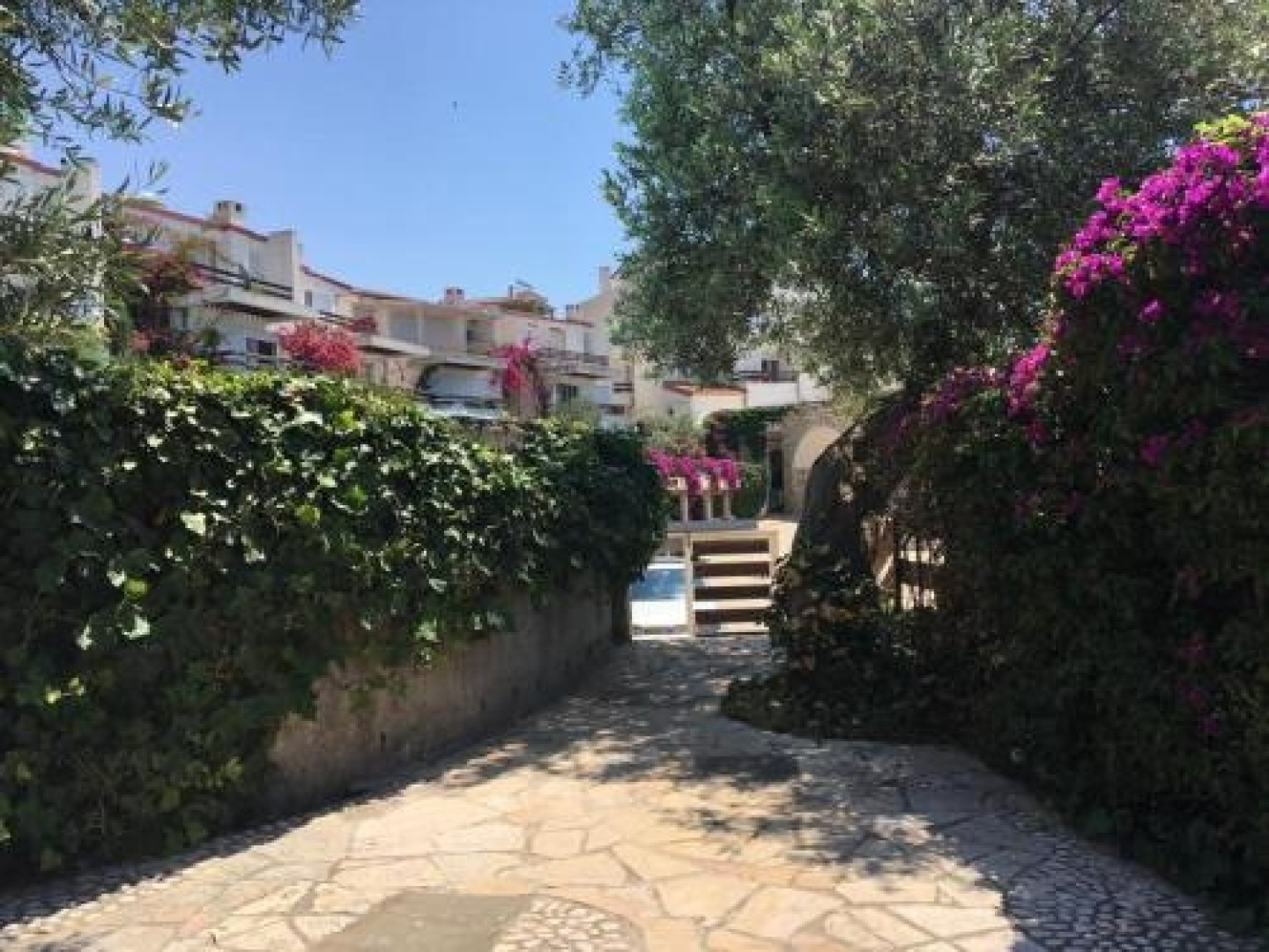 The Olives Terrace Apartments