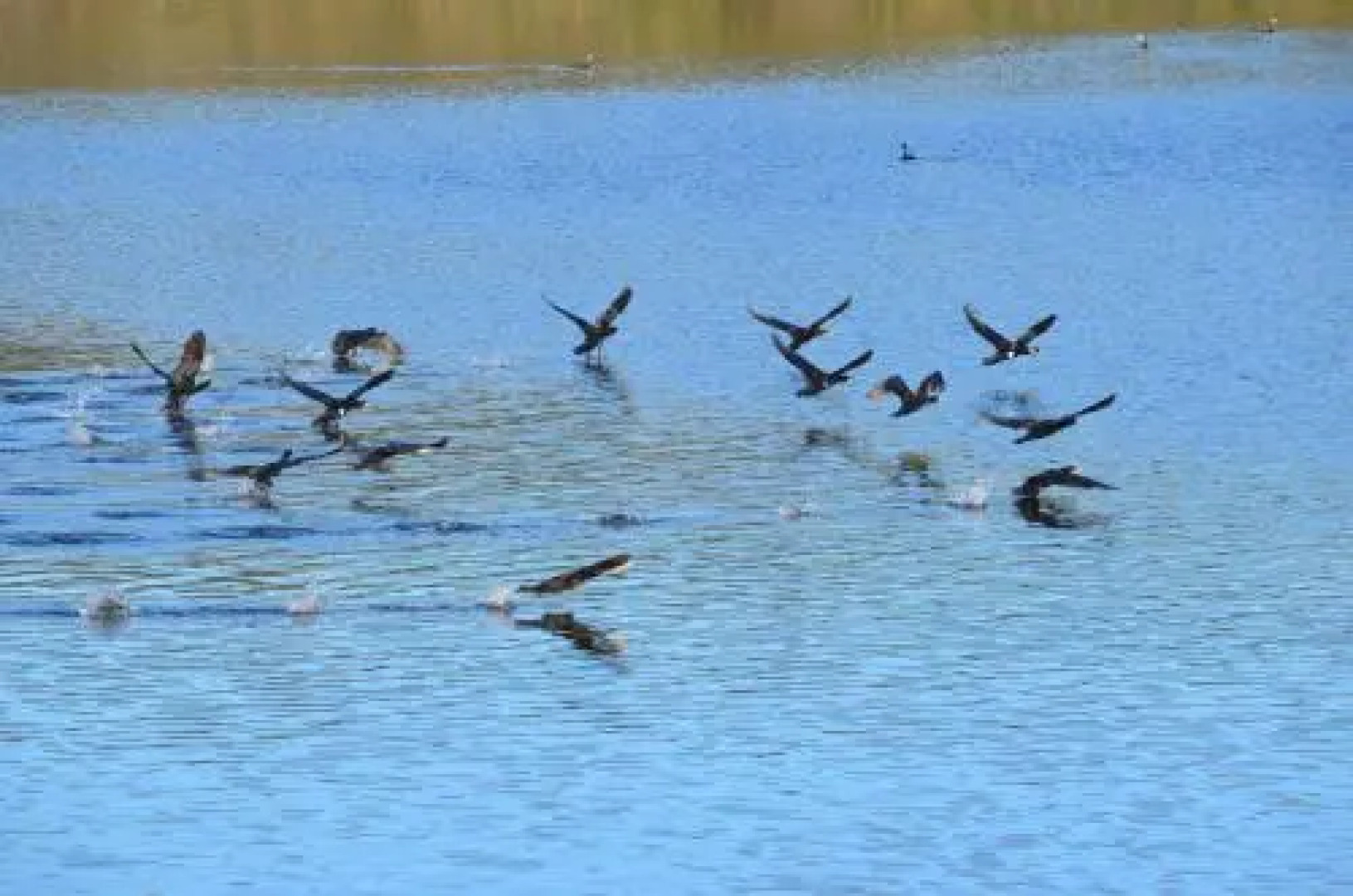 Casa Rural la Cañada