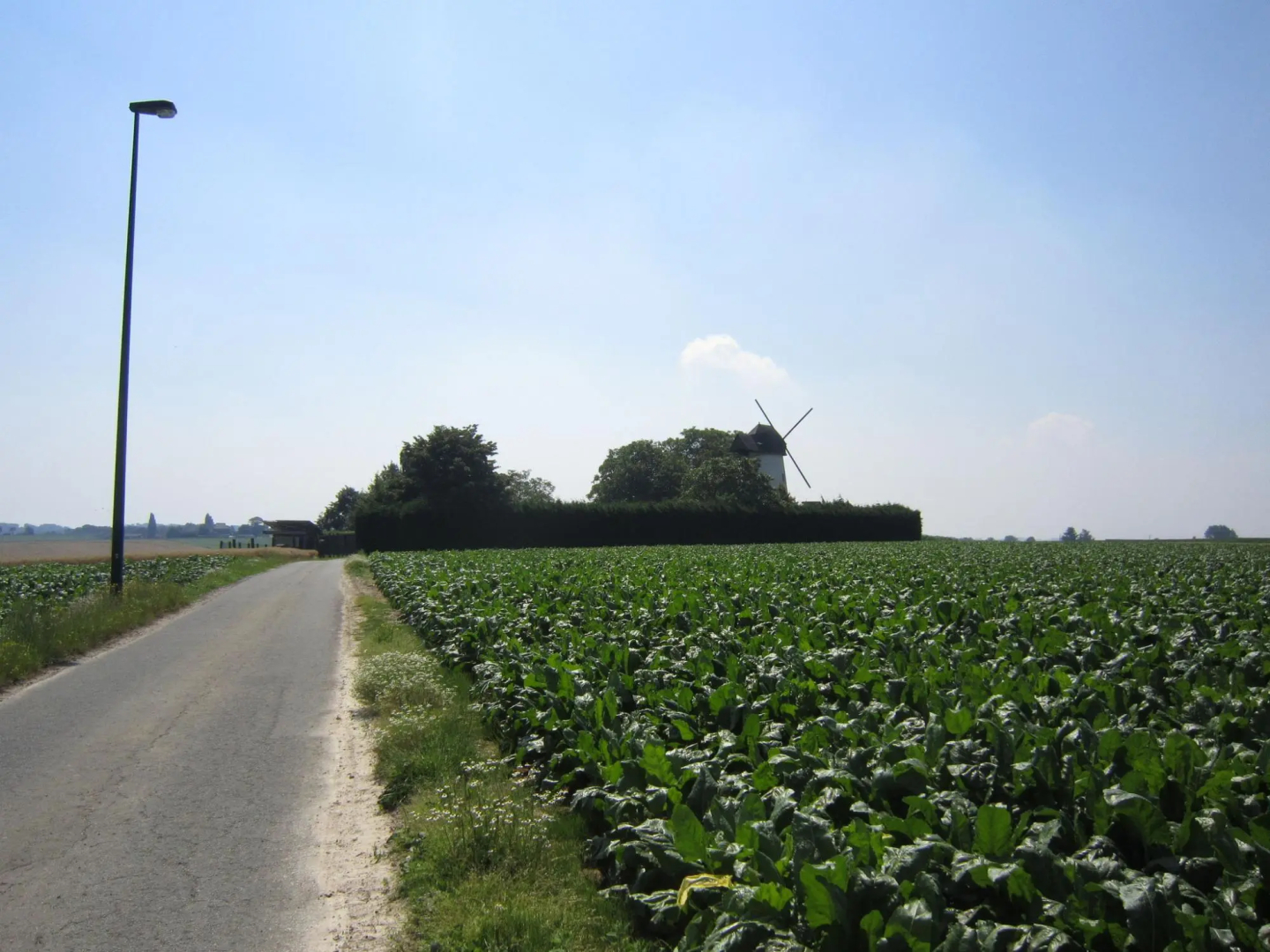 Holiday home in the Flemish Ardennes between the meadows