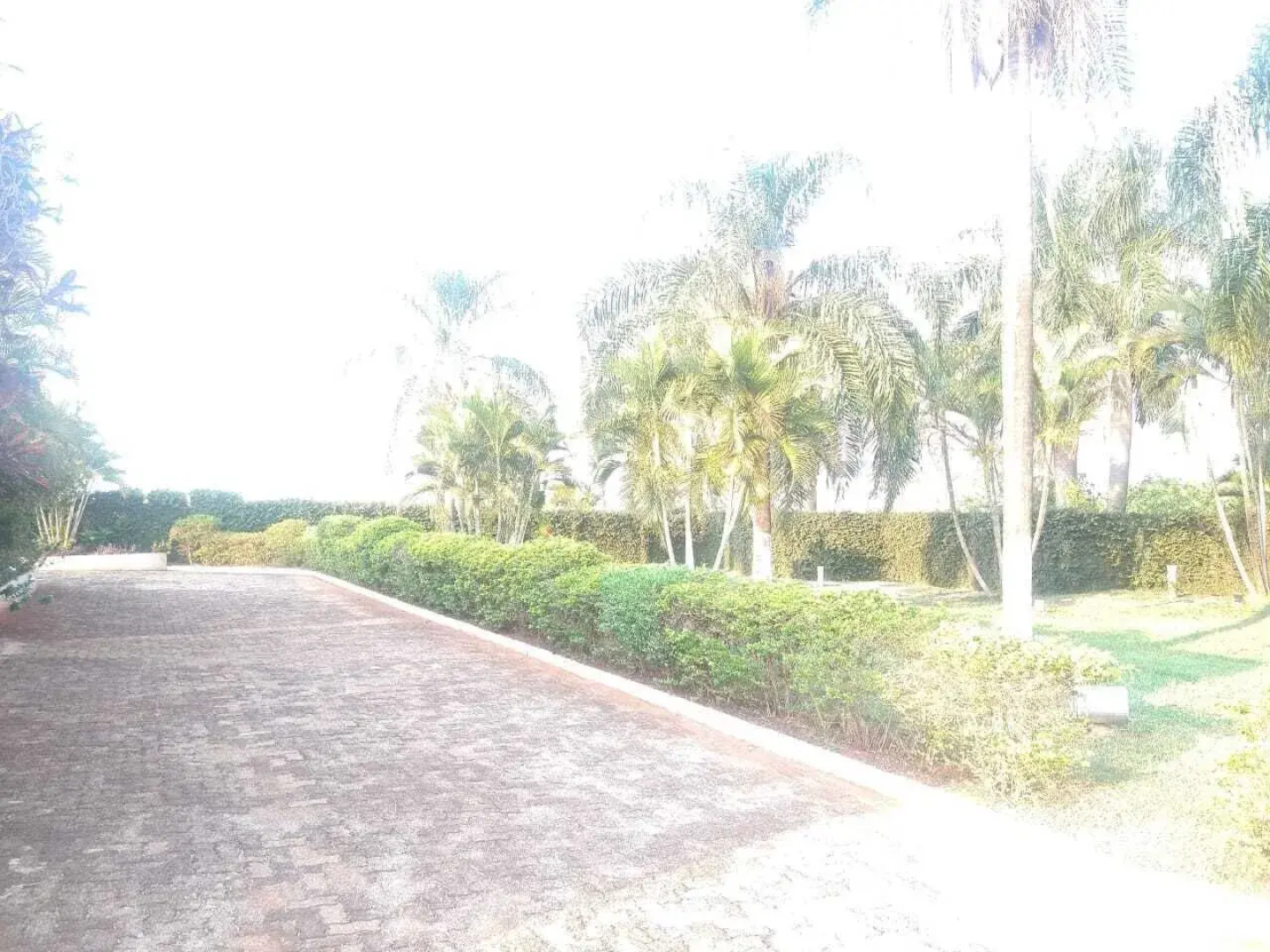 Hotel Green Village