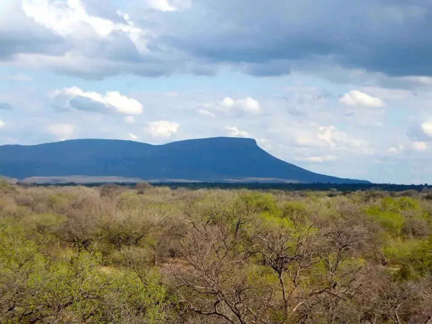 Iphofolo Lodge & Tented Camp