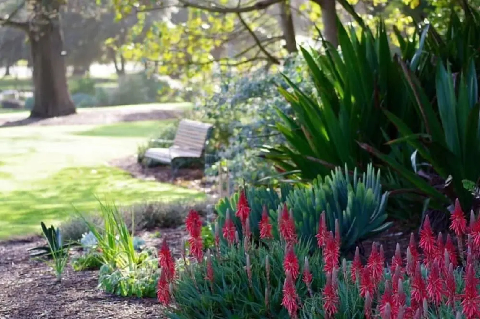 City Central Motor Inn and Apartments