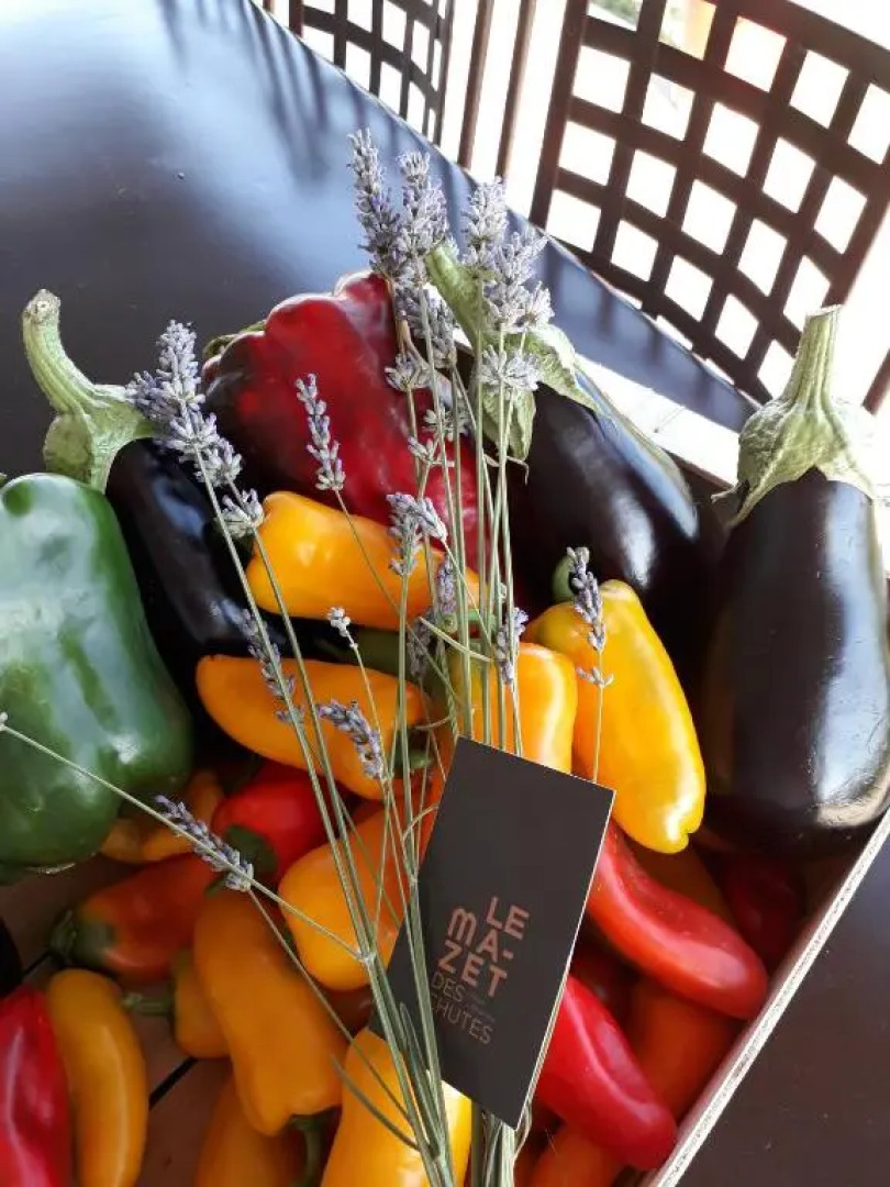 Le Mazet des chutes Gîtes