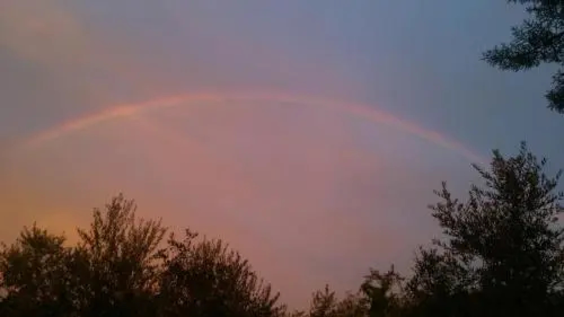 Rooms & Apartments Giulia