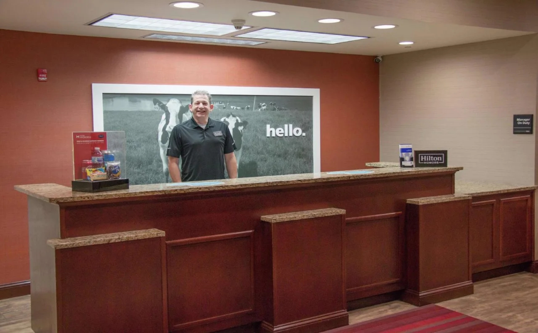 Hampton Inn Murphy