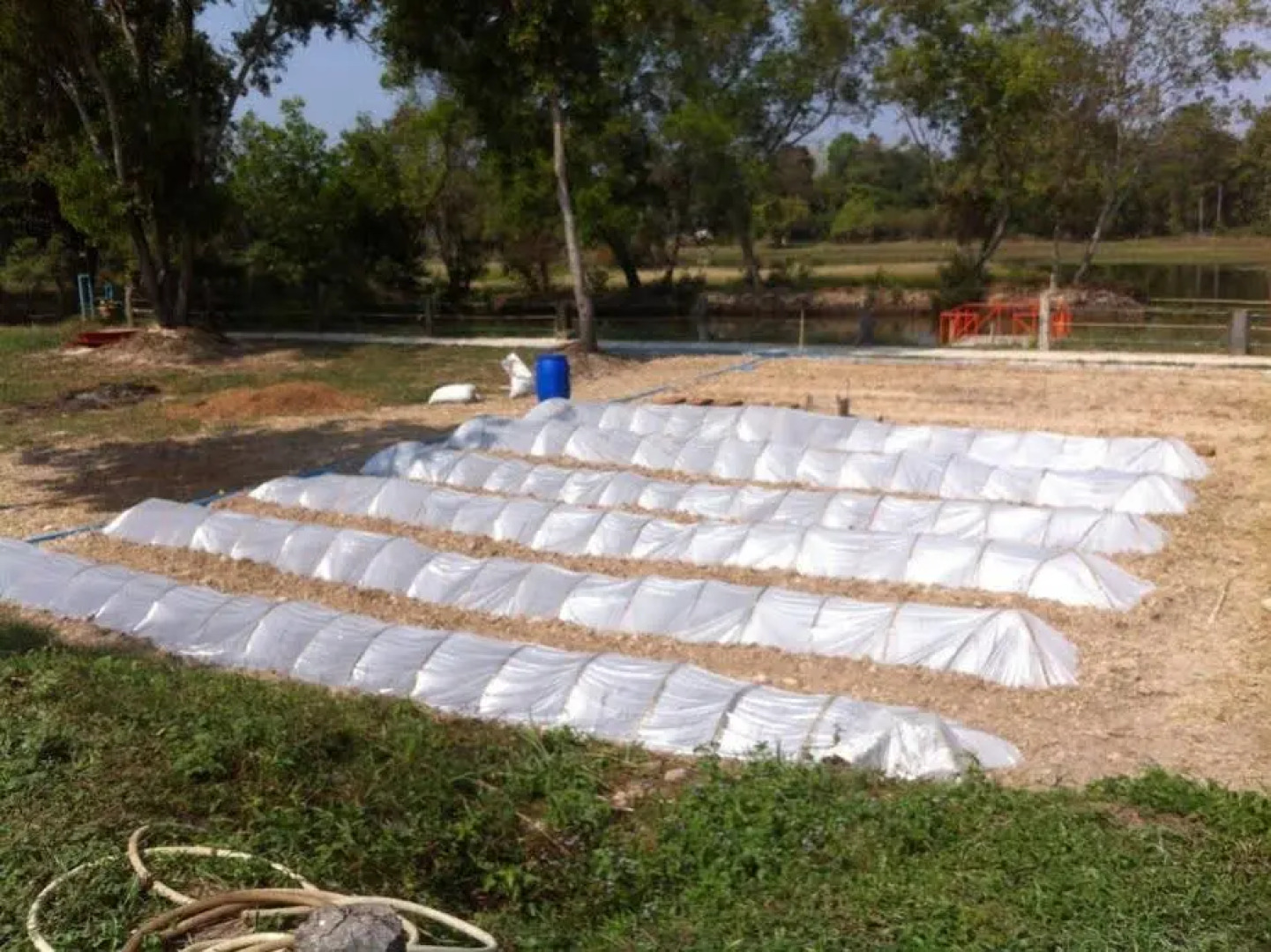 Baan Rai Mod Tua Toh