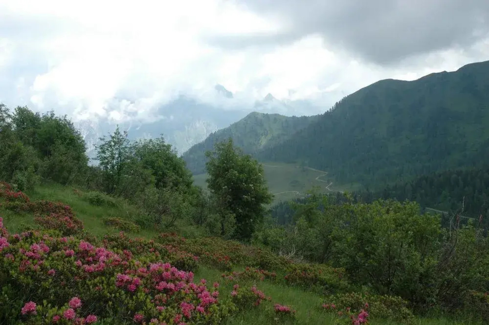 Hotel Pradibosco Agrituristico