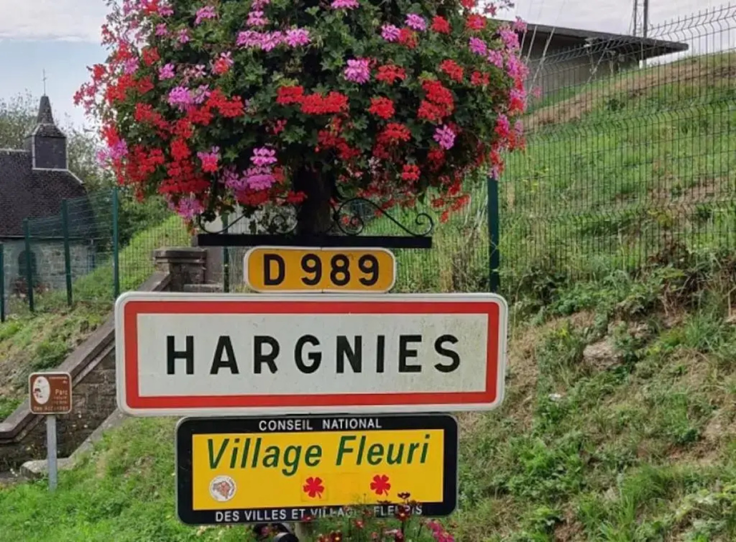 La chouette au bouleau