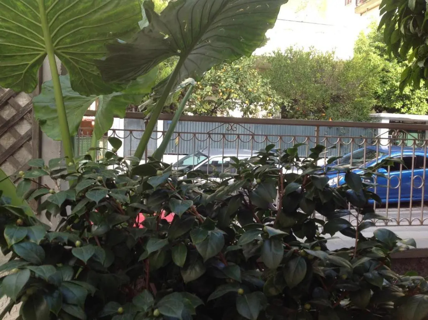 The 25sqm Sunny, Modern and Comfortable