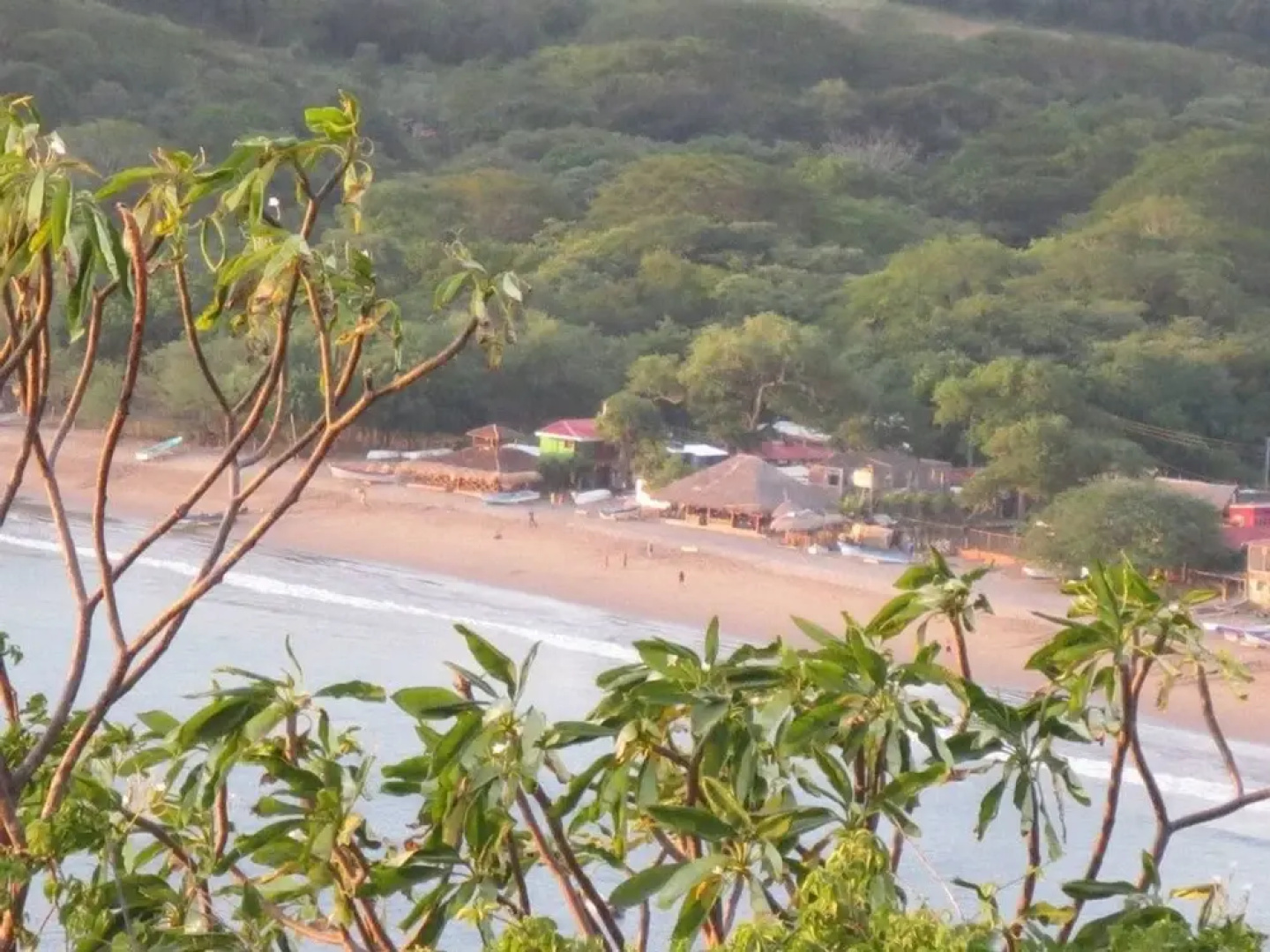 Beachside Paradise