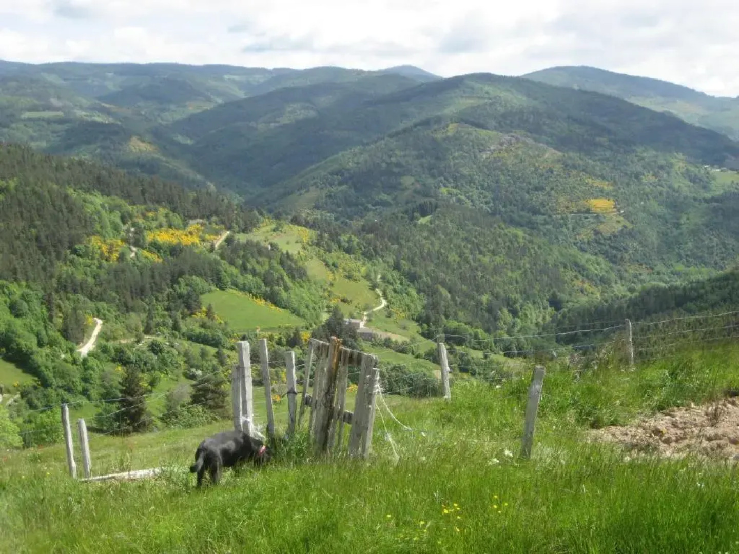 Le Relais De Rochepaule