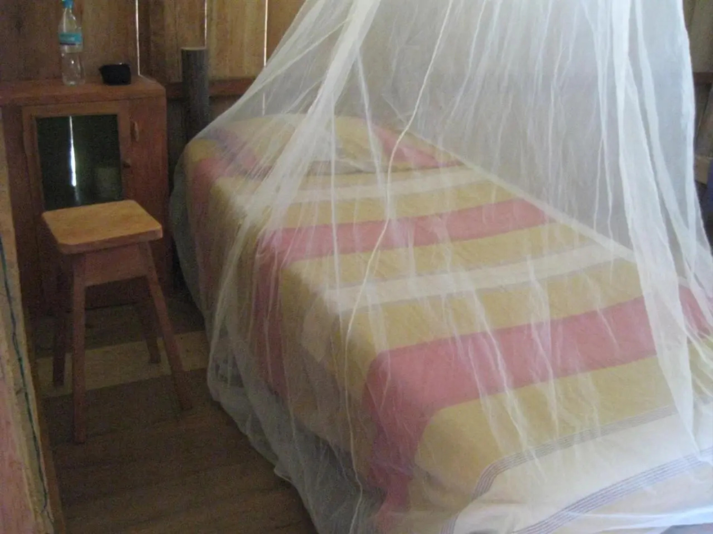 Lodge Jungle Wolf Expeditions