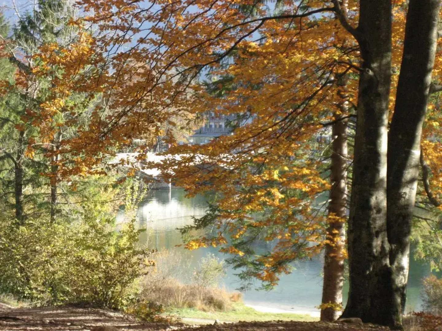 Apartments Pod Rodico