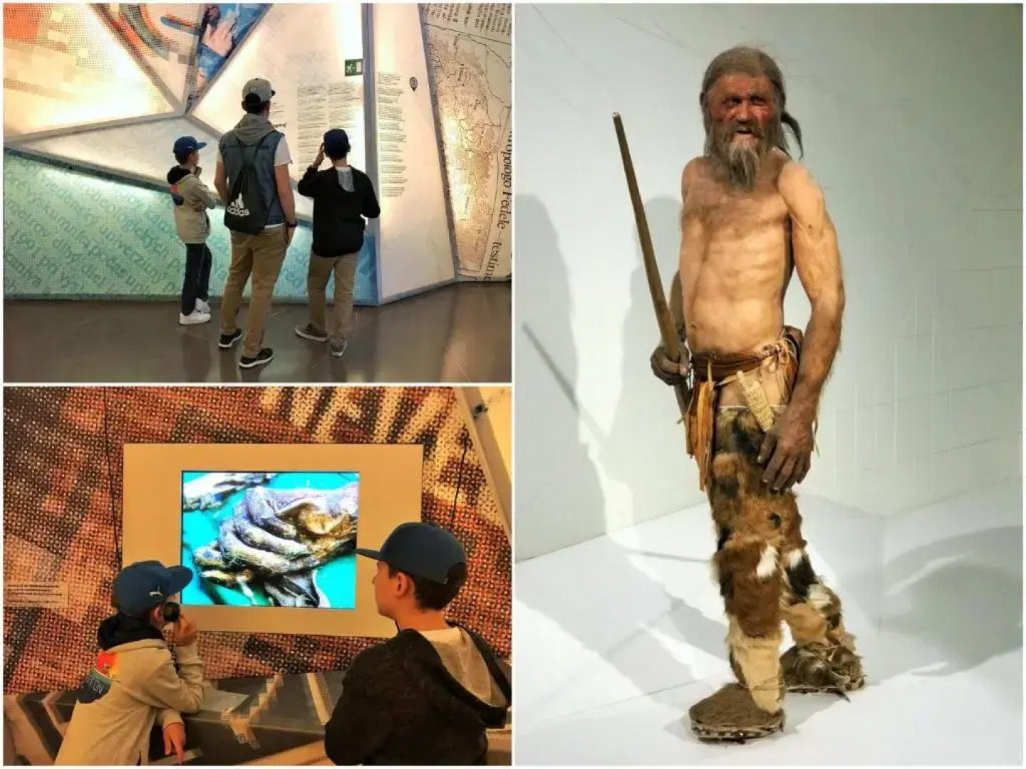 Apartment Laura Brixen Vahrn