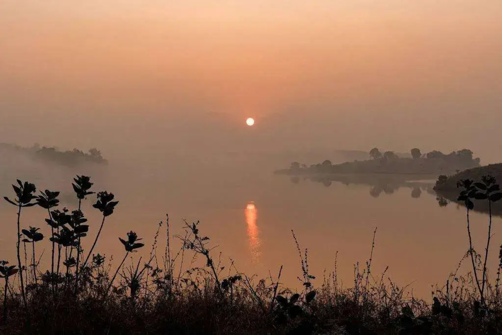SaffronStays Foresta By The Lake, Kamshet