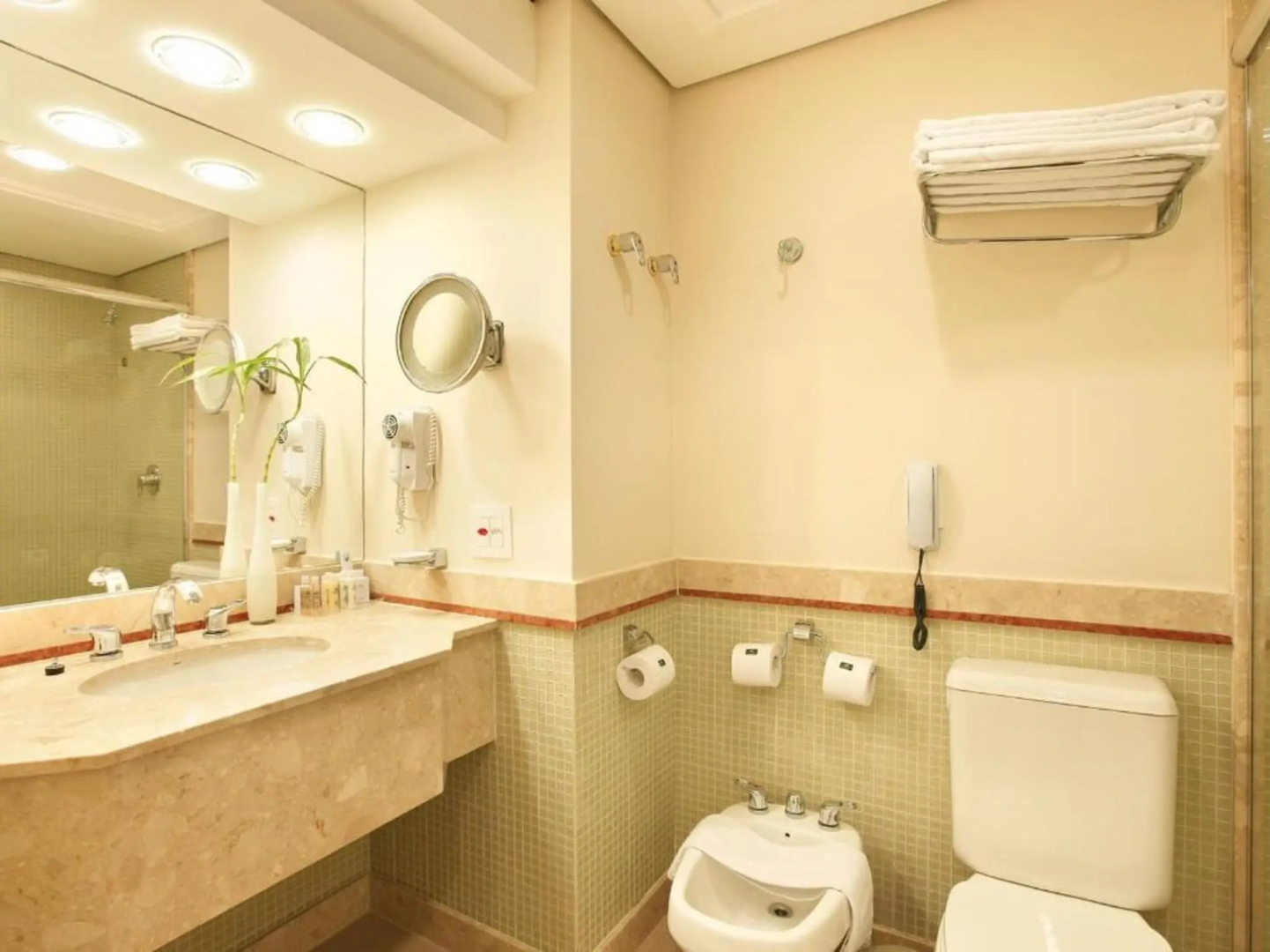 Royal Palm Plaza Resort Campinas