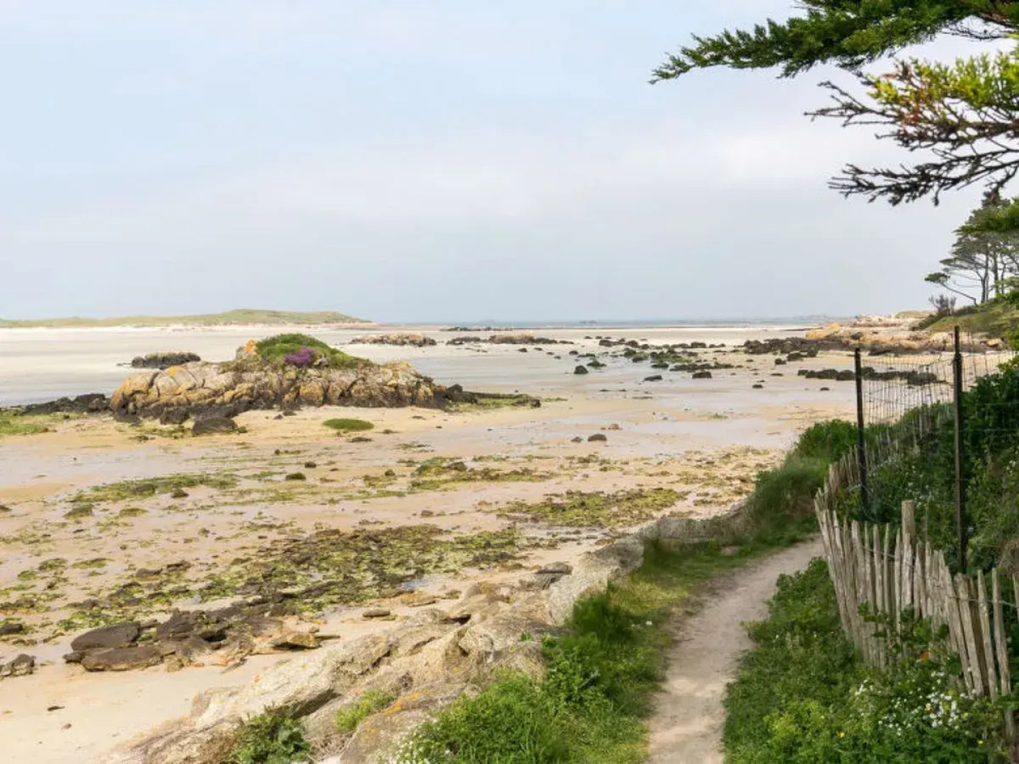 Va Zi Bihan (GUI111)