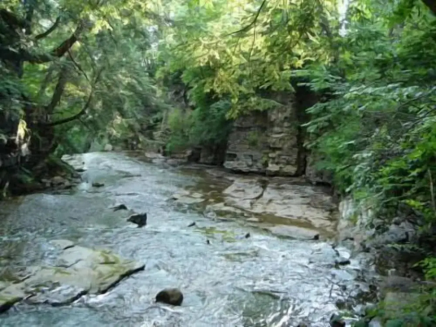CliffSide by The Falls