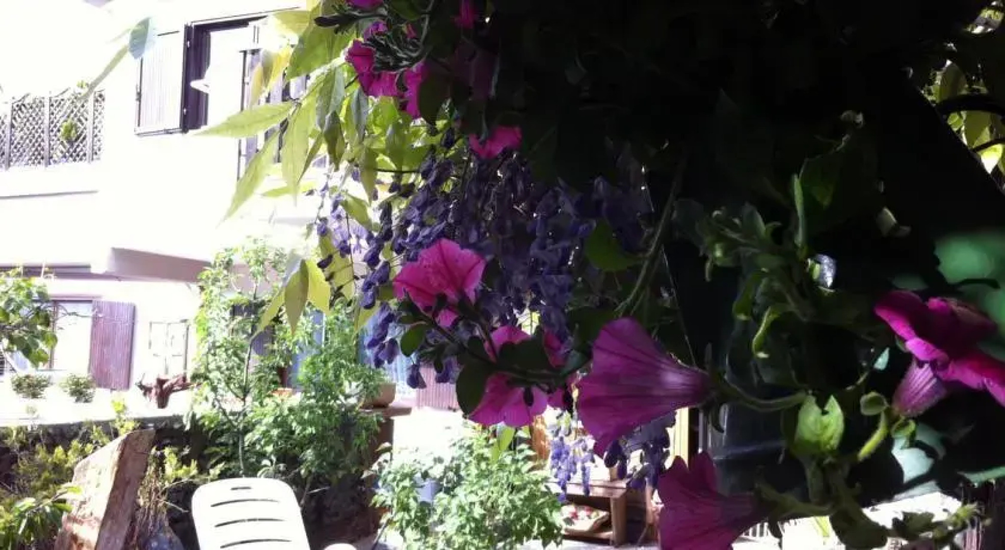 Bed and Breakfast Josy