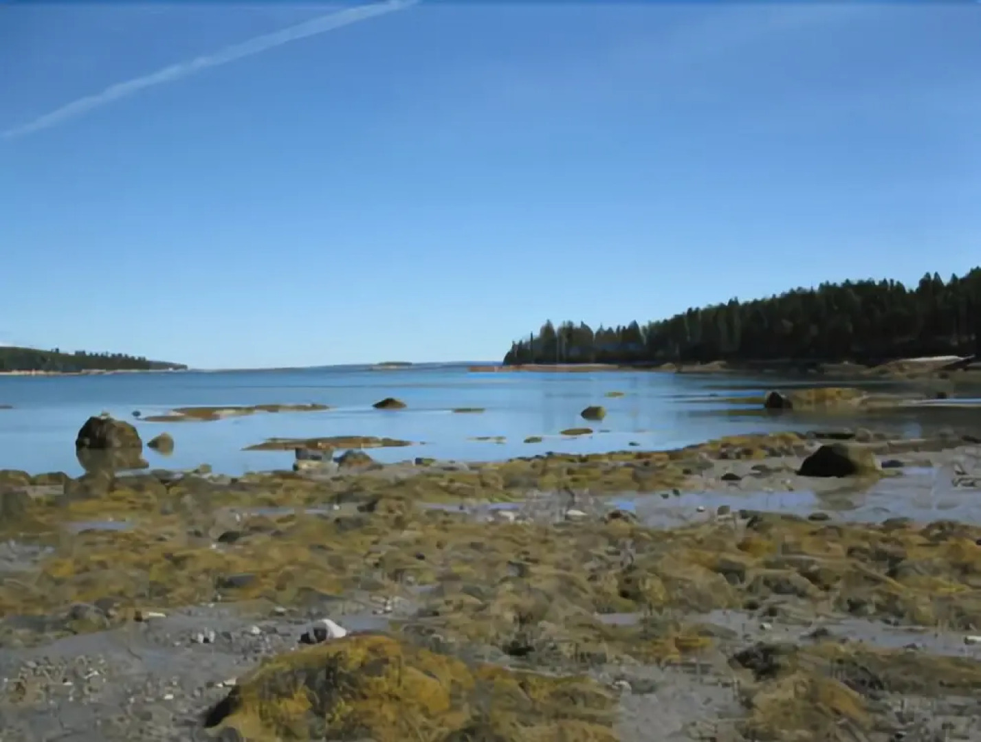 White Birch Cottage - Four Bedroom Home